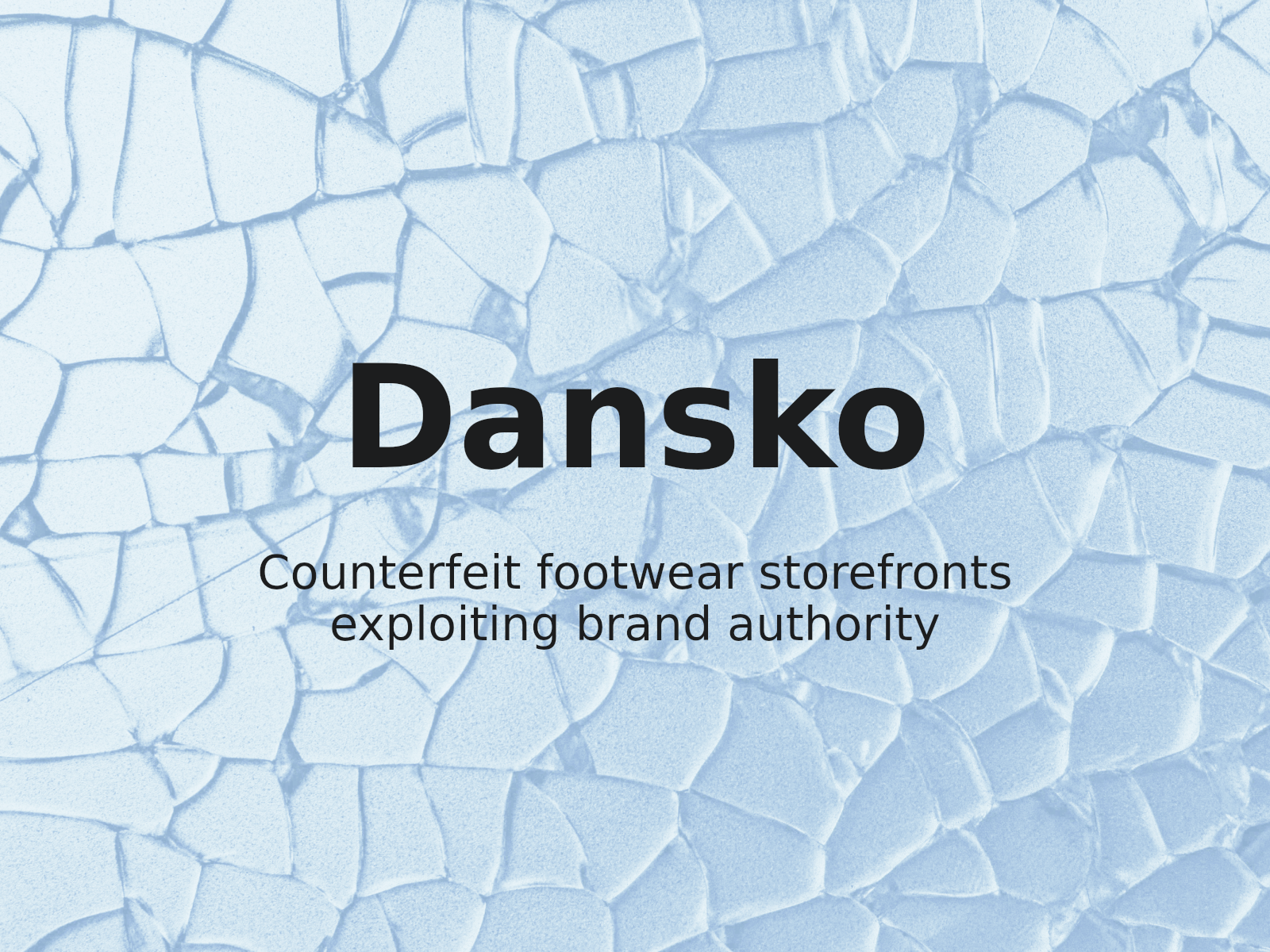 Combating Unauthorized Storefronts: Lessons from Dansko, LLC v. yangjian