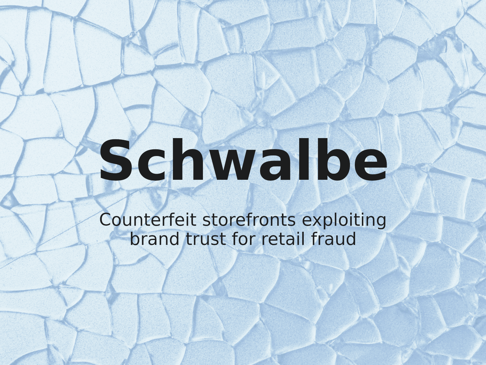 Umgang mit Markenrechtsverletzungen in gefälschten Online-Shops
