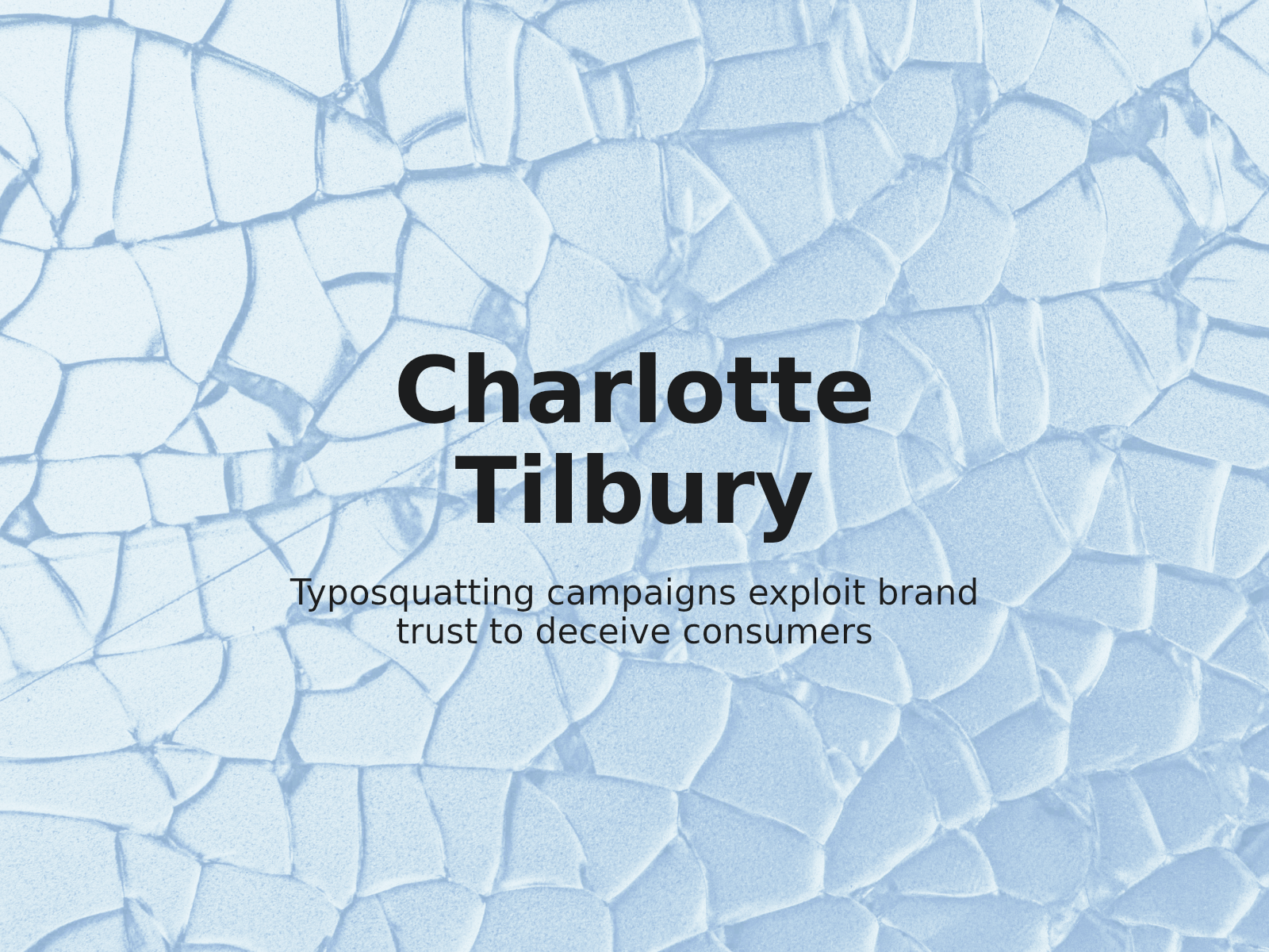 Umgang mit Multi-Domain-Typo-Squatting und Phishing-Risiken für Charlotte Tilbury