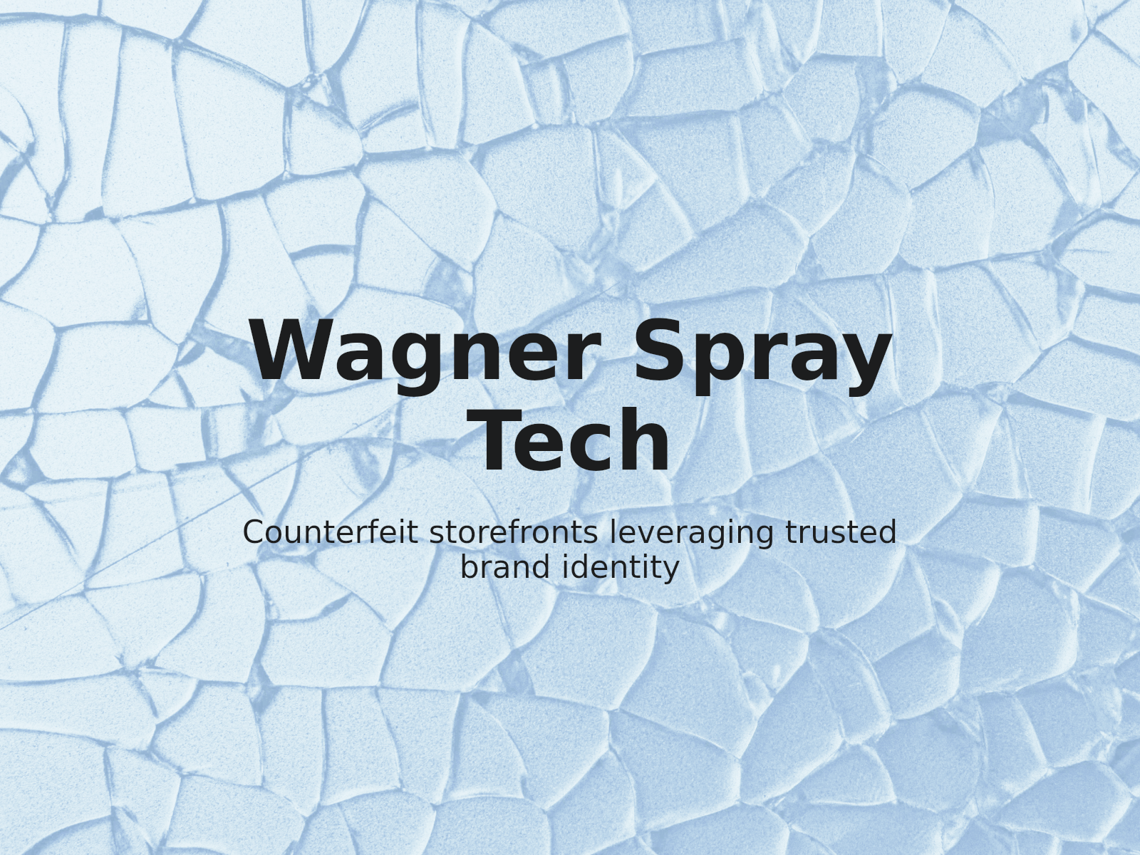 Mitigating Business Risks from Fake Shop Impersonation: Wagner Spray Tech Case Analysis